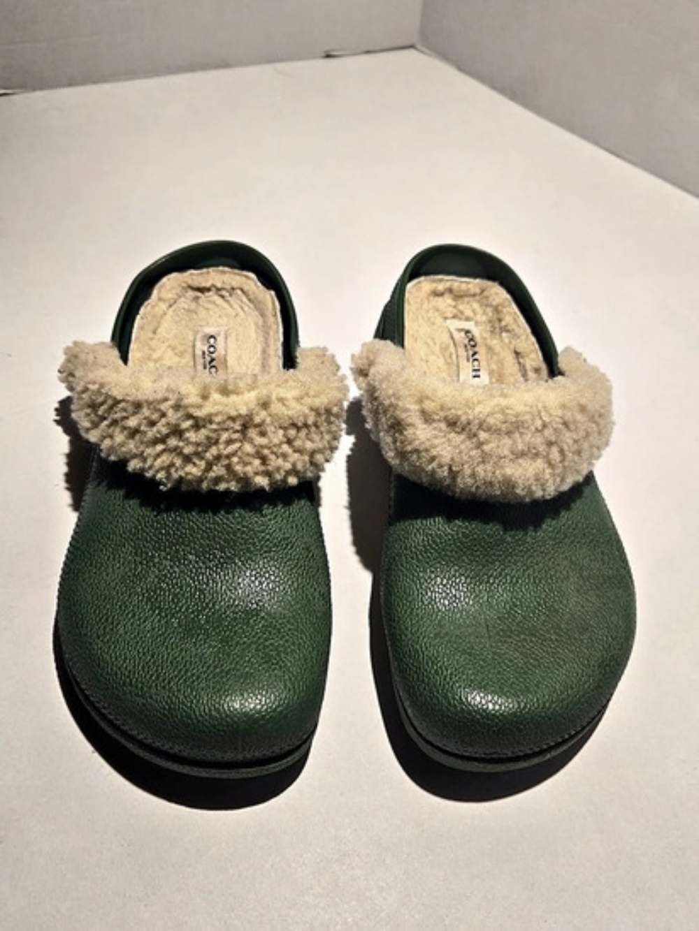 COACH Lola Clog Green & Beige Shearling Lined